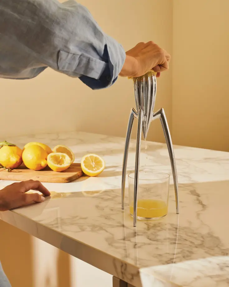 Presse-agrumes design Juicy Salif en aluminium – Alessi