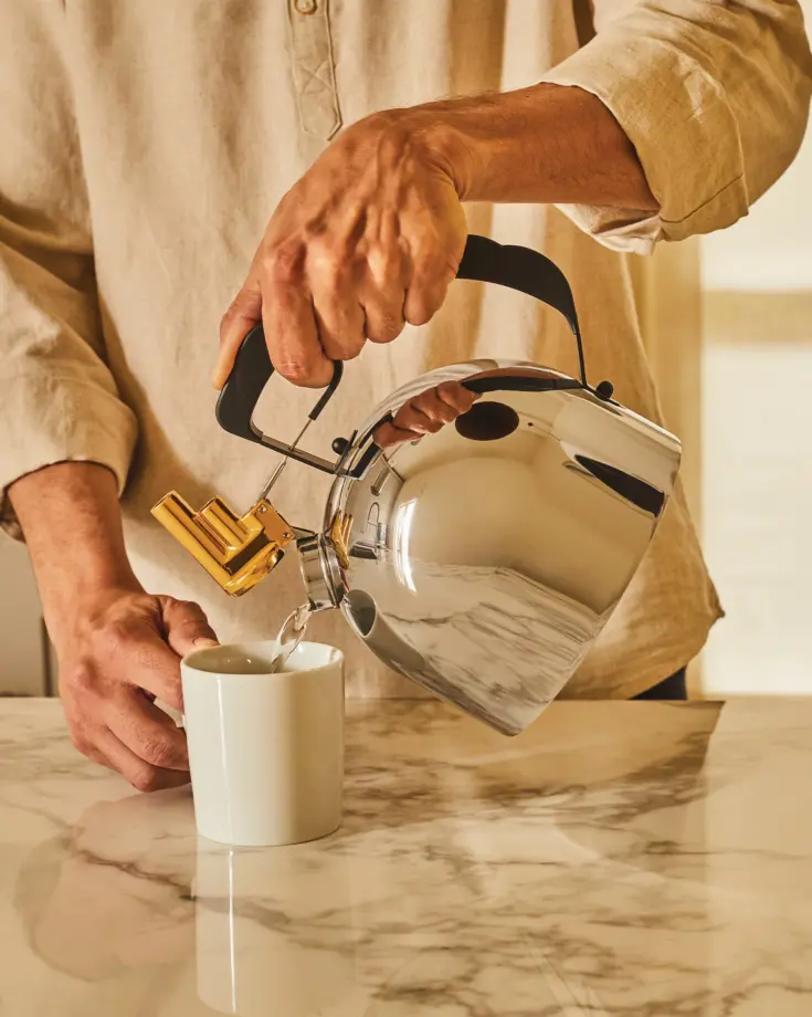 Bouilloire Siflet Mélodique – ALESSI
