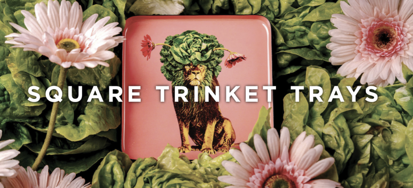 Vide Poche Curiosito Carré – GANGZAÏ