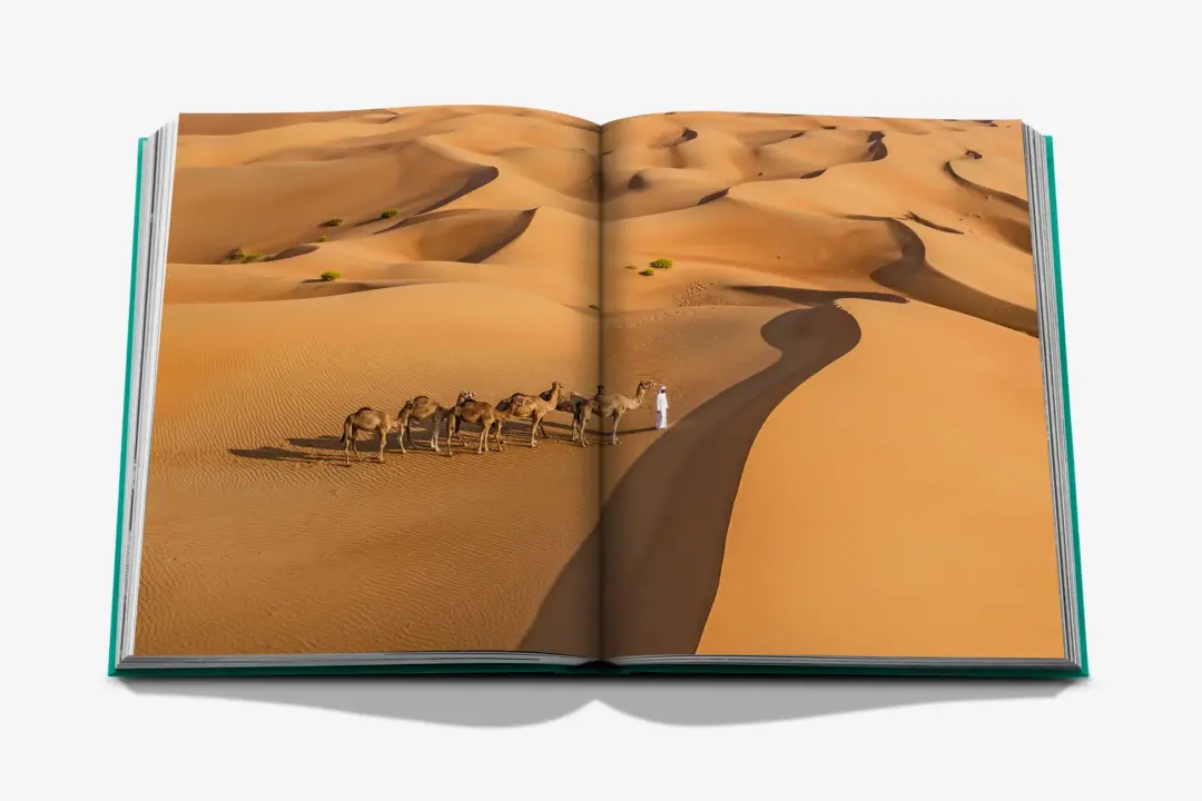 ASSOULINE  LIVRE  ABU DHABI BRIGHT