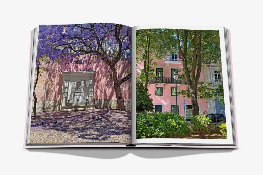 ASSOULINE  LIVRE  LISBOA LUZ