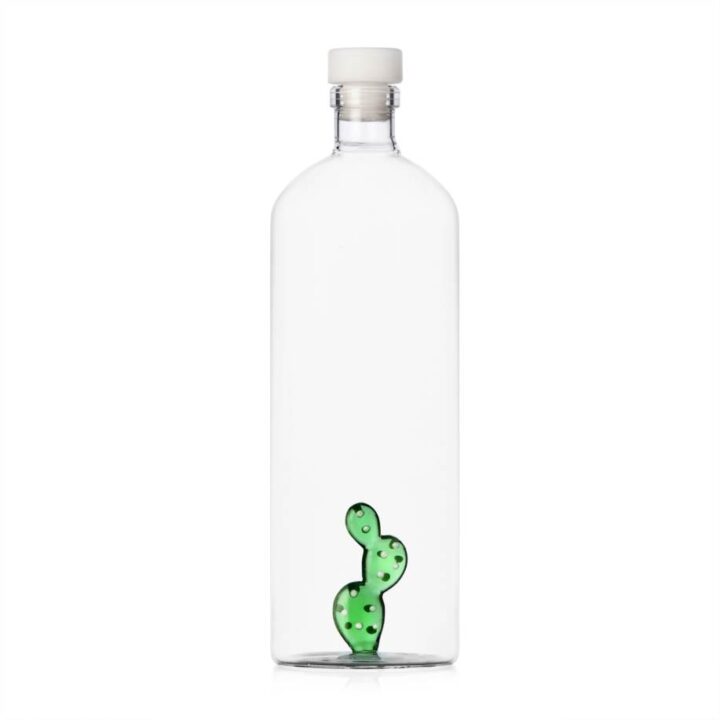 Bouteille avec Cactus vert – Ichendorf Milano
