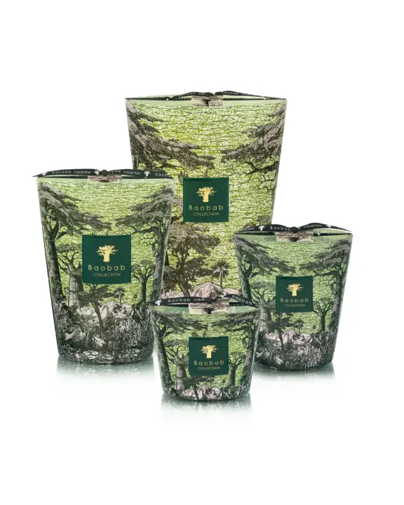 Bougie Sacred Trees Touba – Baobab Collection
