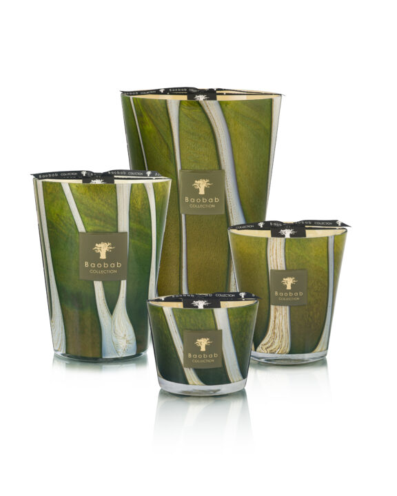 Bougie Woods Sherwood – Baobab Collection