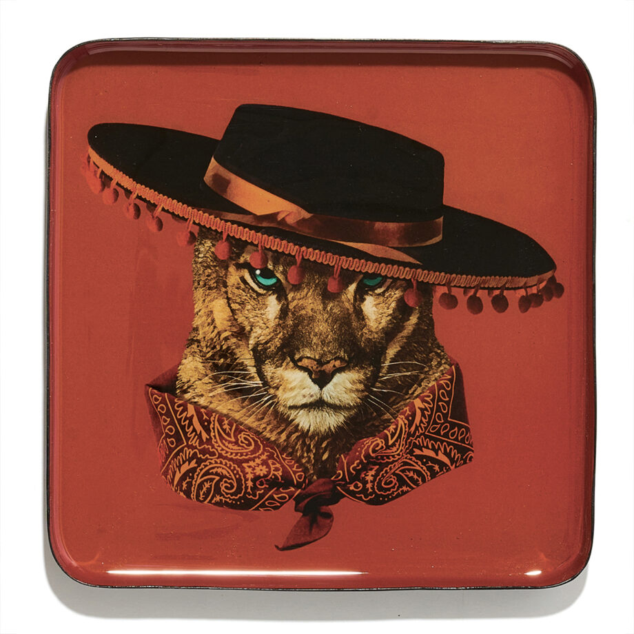 Vide Poche Curiosito Carré &#8211; GANGZAÏ