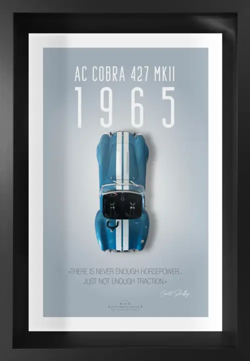 AC Cobra – 40×60 – The Automologist
