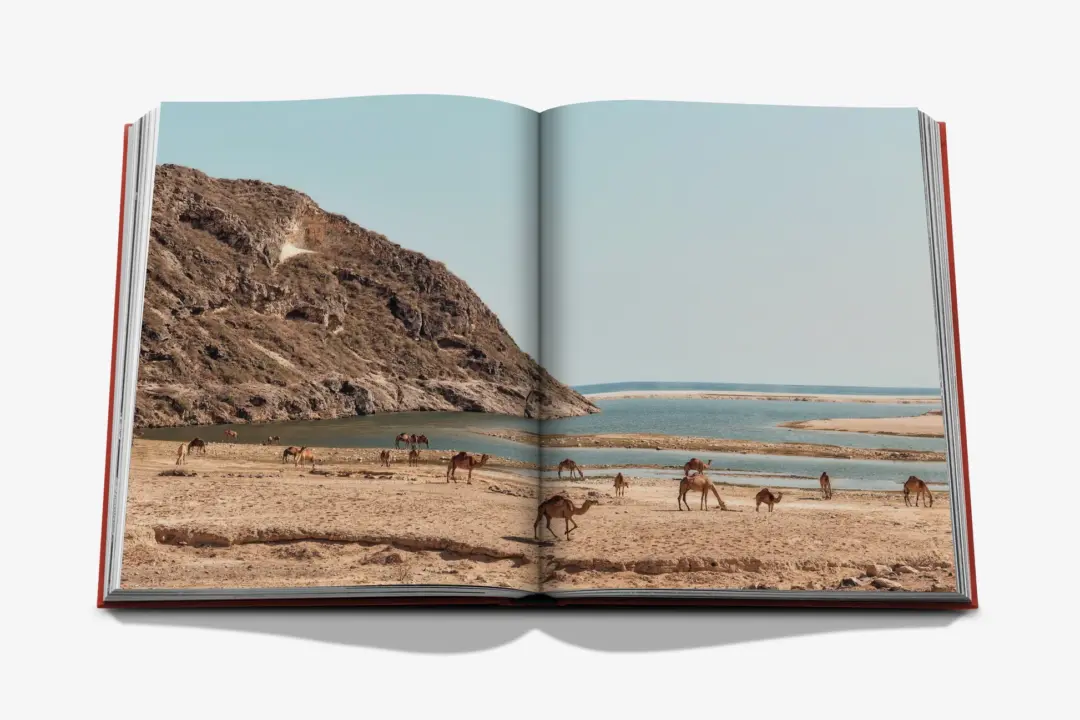 ASSOULINE  LIVRE  OMAN ODYSSEY
