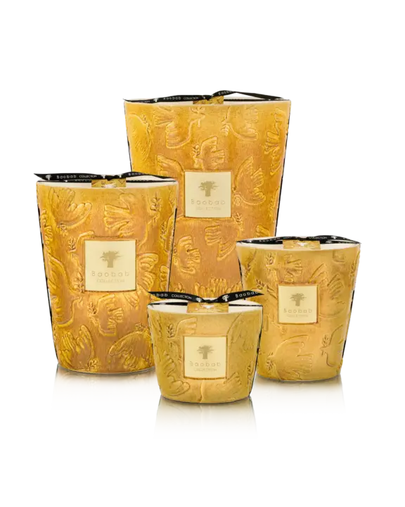Bougie Paz Dove – Baobab Collection