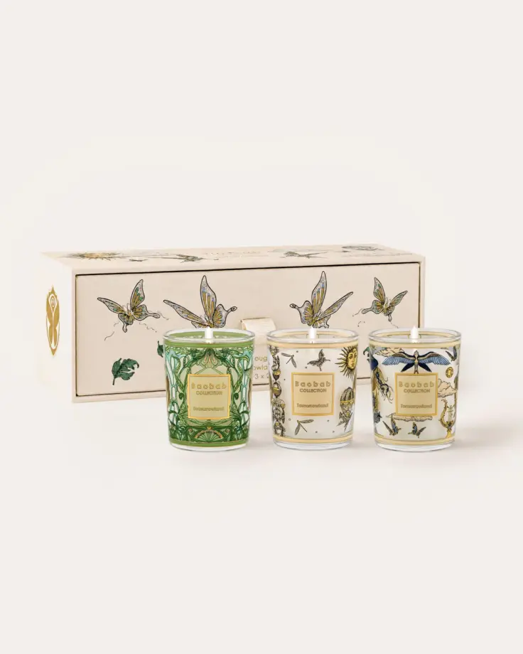 Trio Travel Tomorrowland – Baobab Collection
